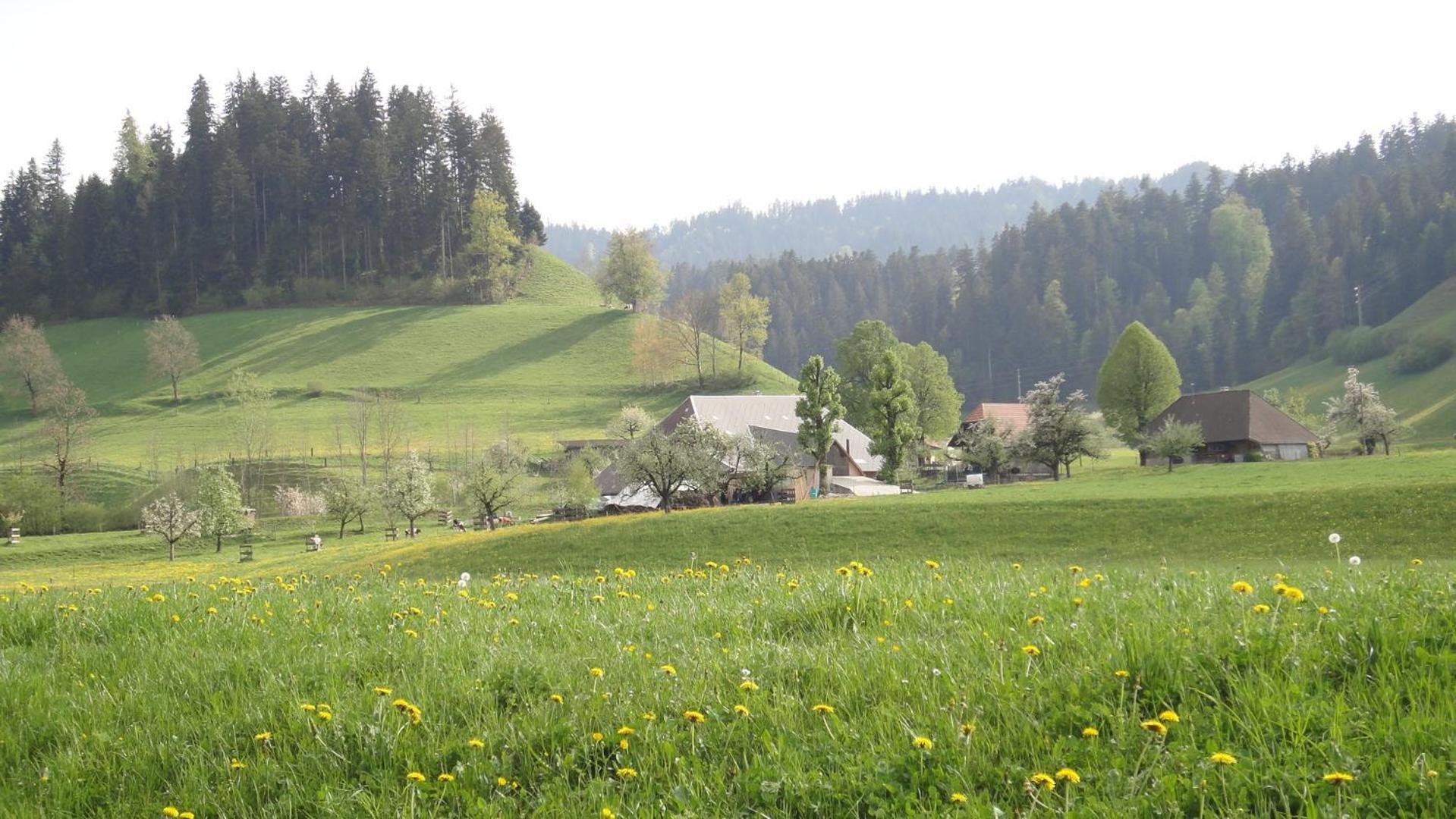 Landgasthof-Hotel Adler Langnau im Emmental Exterior foto